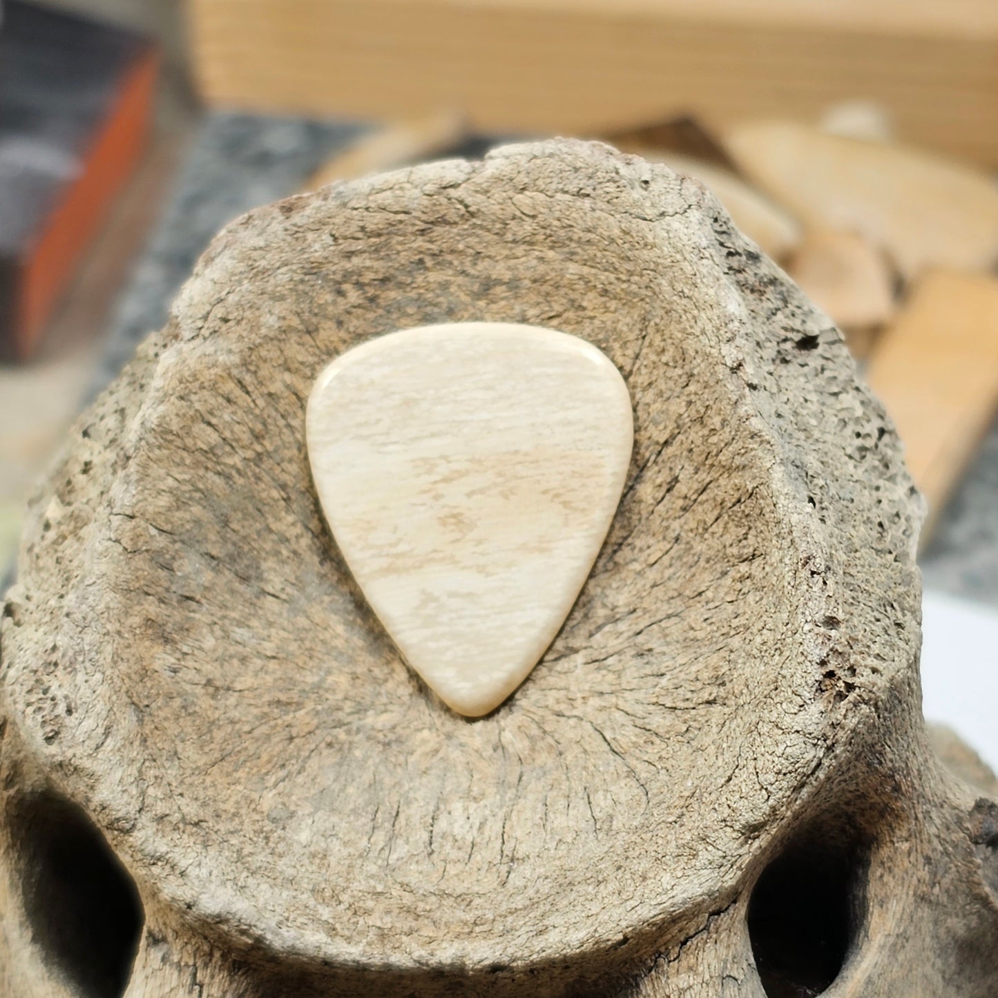 Woolly Mammoth Ivory Guitar Picks