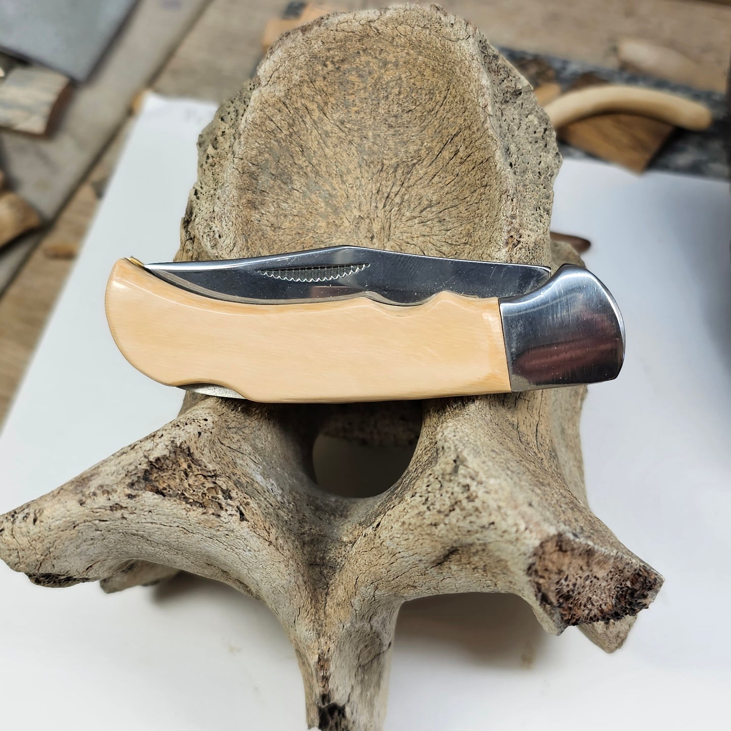 Woolly Mammoth Lock Blade Pocket Knife