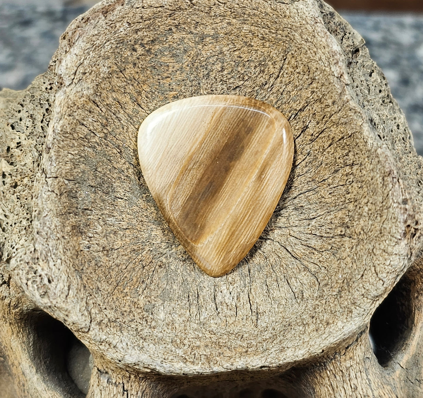 Boneyard Alaska Woolly Mammoth Ivory Guitar Pick