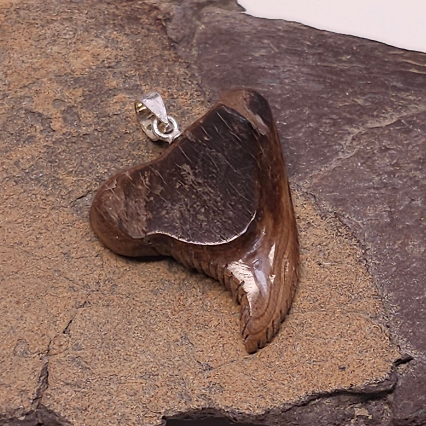Boneyard Alaska Woolly Mammoth Ivory Shark Tooth Pendant