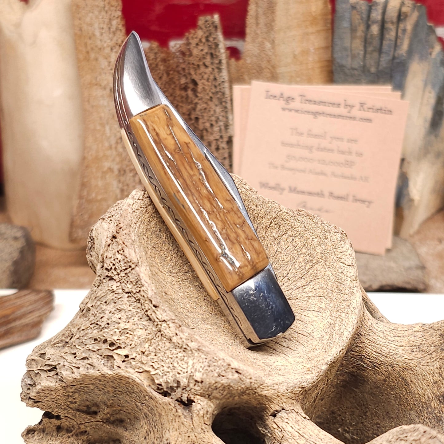 Boneyard Alaska Woolly Mammoth Ivory Bark Grip Texas Toothpick Pocket Knife