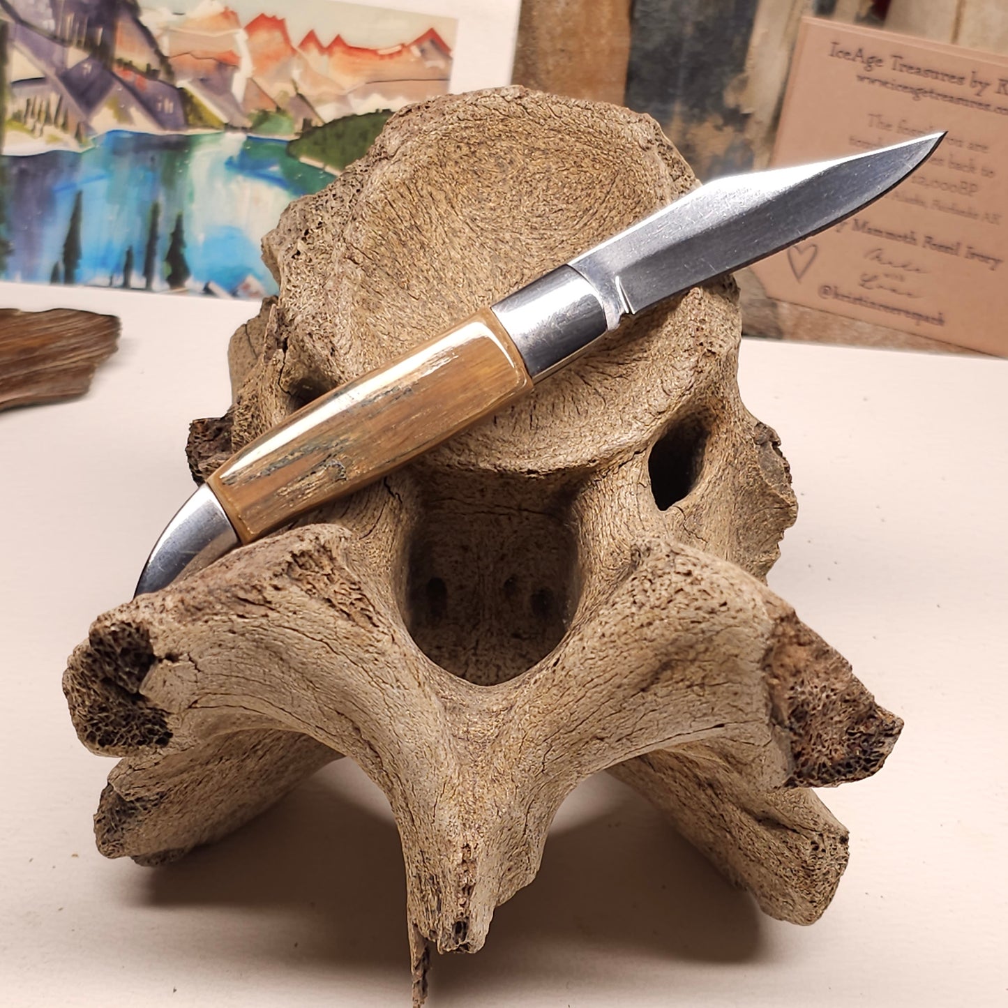 Boneyard Alaska Woolly Mammoth Ivory Bark Grip Texas Toothpick Pocket Knife