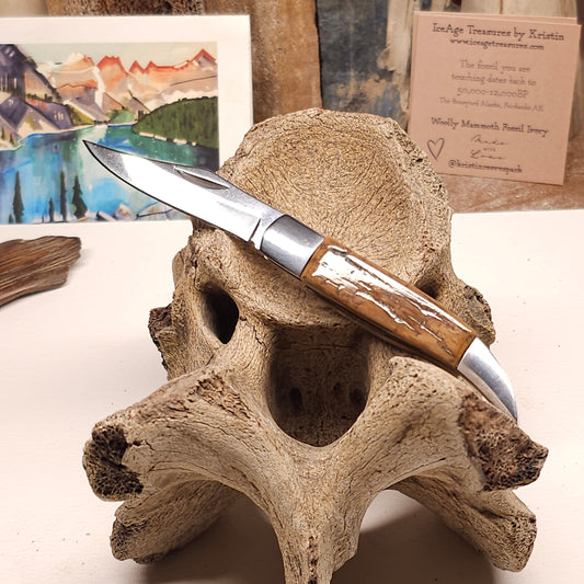 Boneyard Alaska Woolly Mammoth Ivory Bark Grip Texas Toothpick Pocket Knife