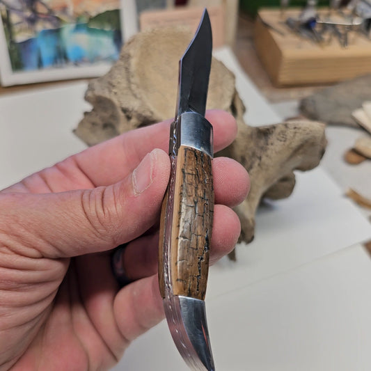 Boneyard Alaska Woolly Mammoth Grip "Texas Toothpick" Collectible