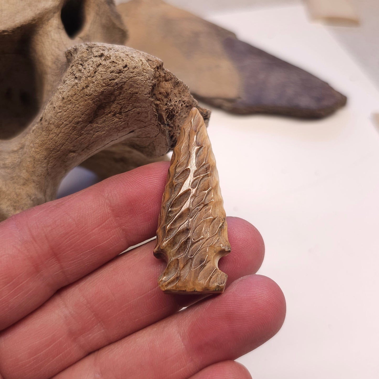 Boneyard Woolly Mammoth Ivory Arrowhead y Kristin Reeves Park IceAge Treasures