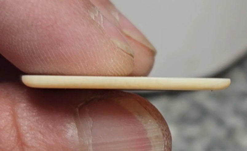 Woolly Mammoth Ivory Guitar Pick