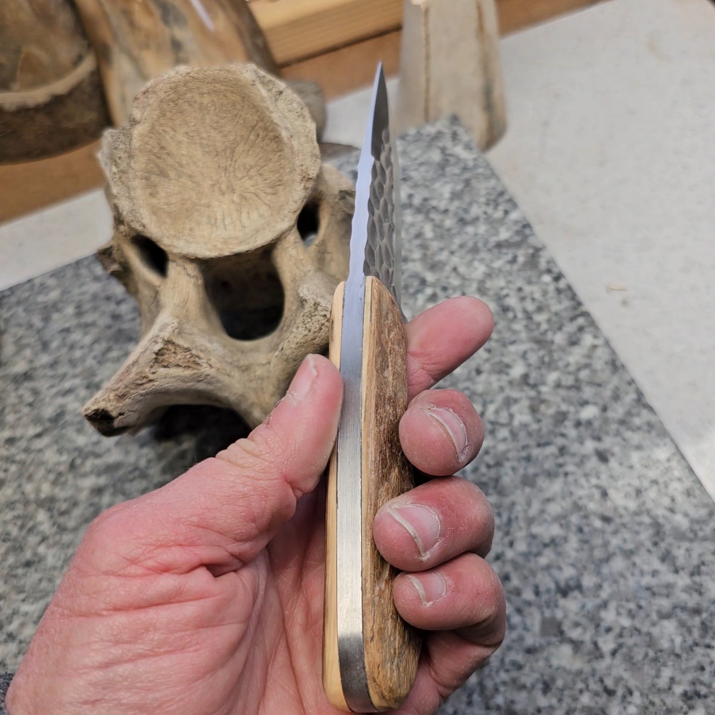 Boneyard Alaska Woolly Mammoth Natural Grip Ivory - Drop Point Blade