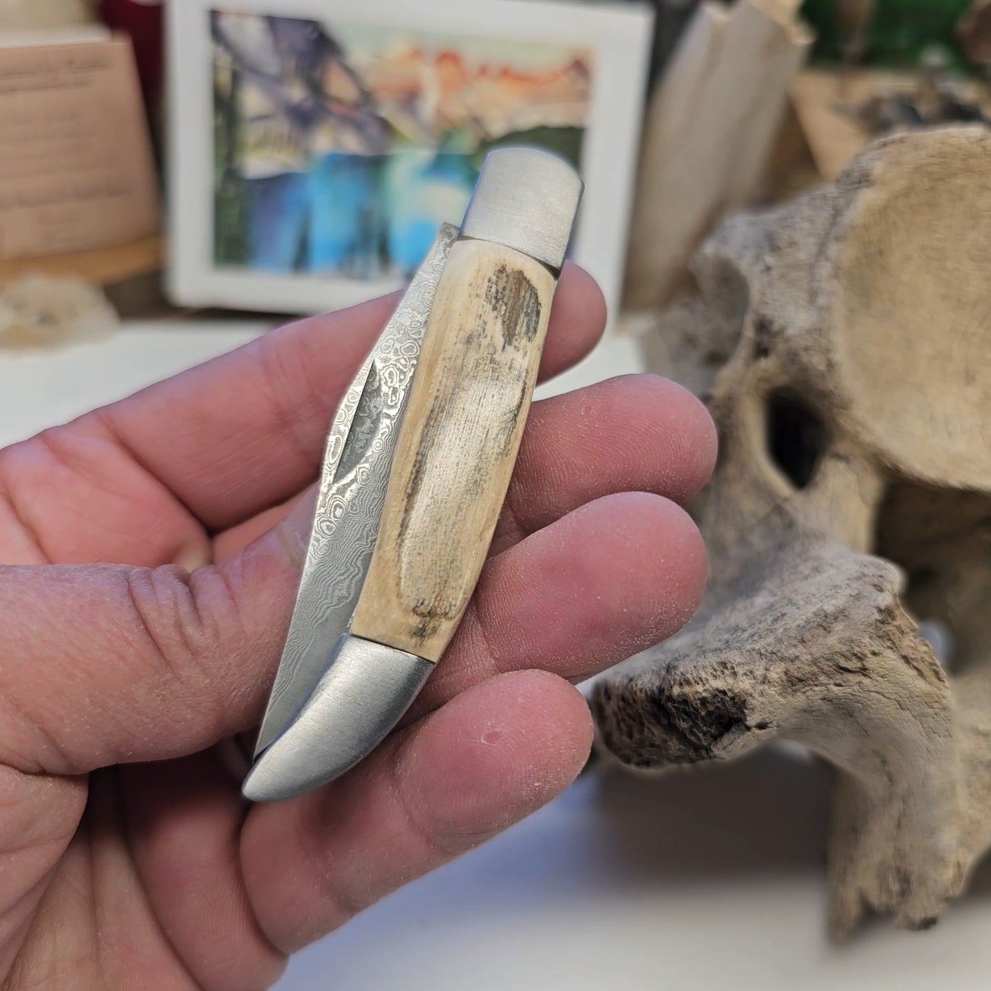 Boneyard Alaska Woolly Mammoth Ivory - Texas Toothpick with Damascus