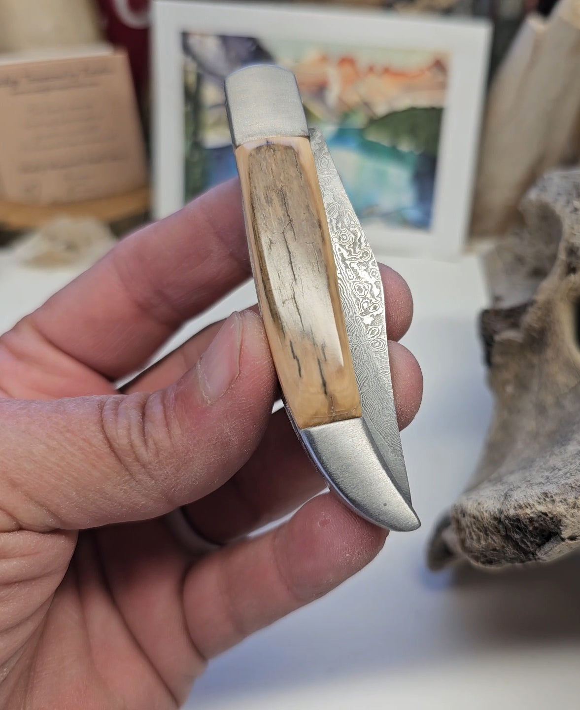 Boneyard Alaska Woolly Mammoth Ivory - Texas Toothpick with Damascus