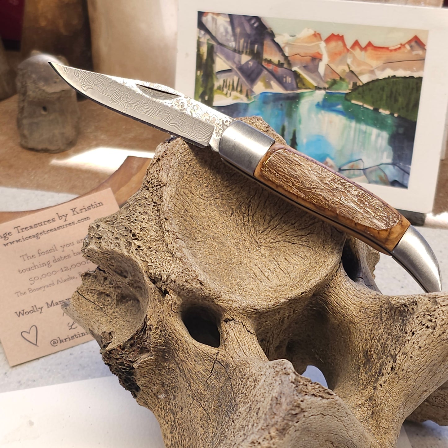 Boneyard Alaska Woolly Mammoth Ivory - Texas Toothpick Damascus Pocket Knife