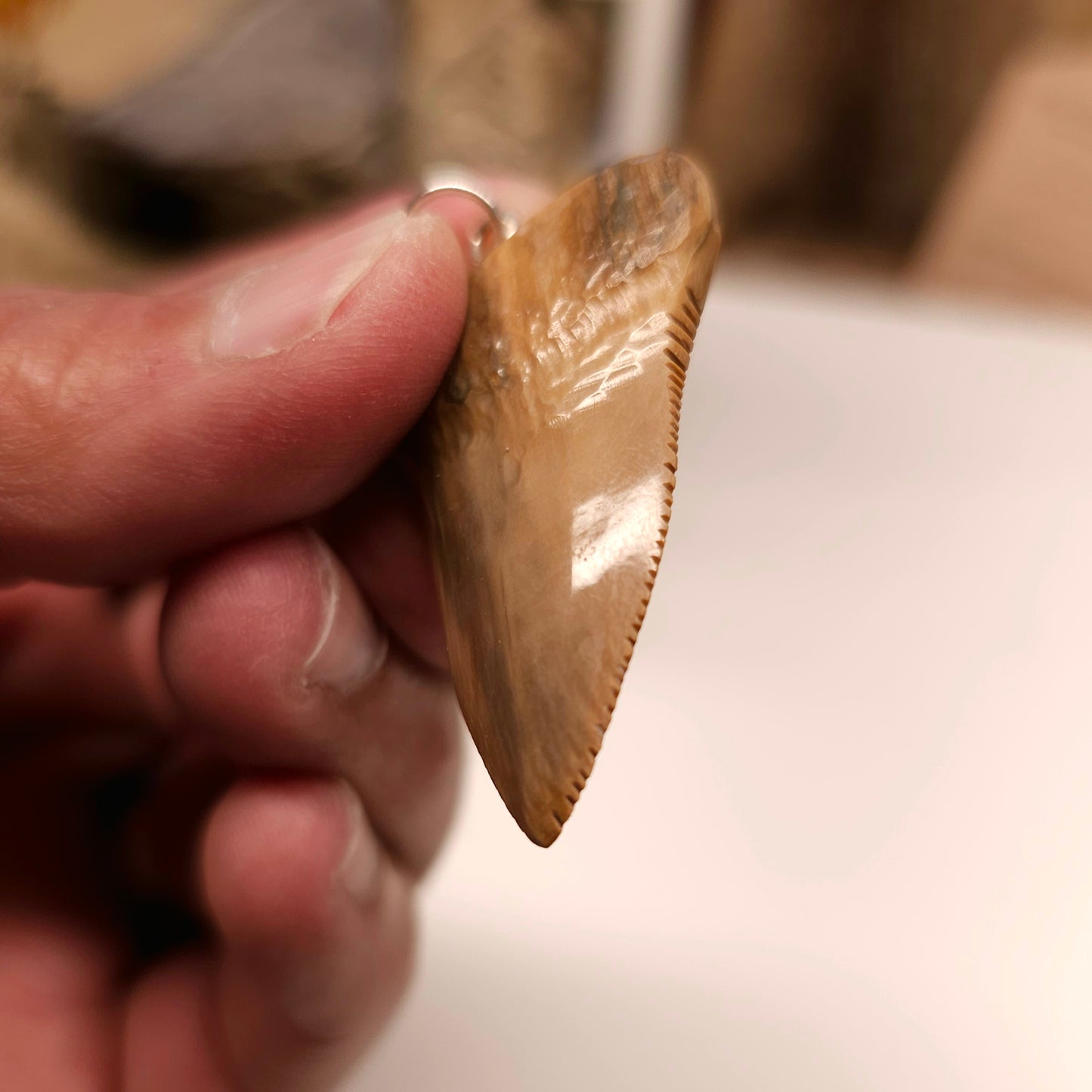 Woolly Mammoth Ivory Shark Tooth Pendant