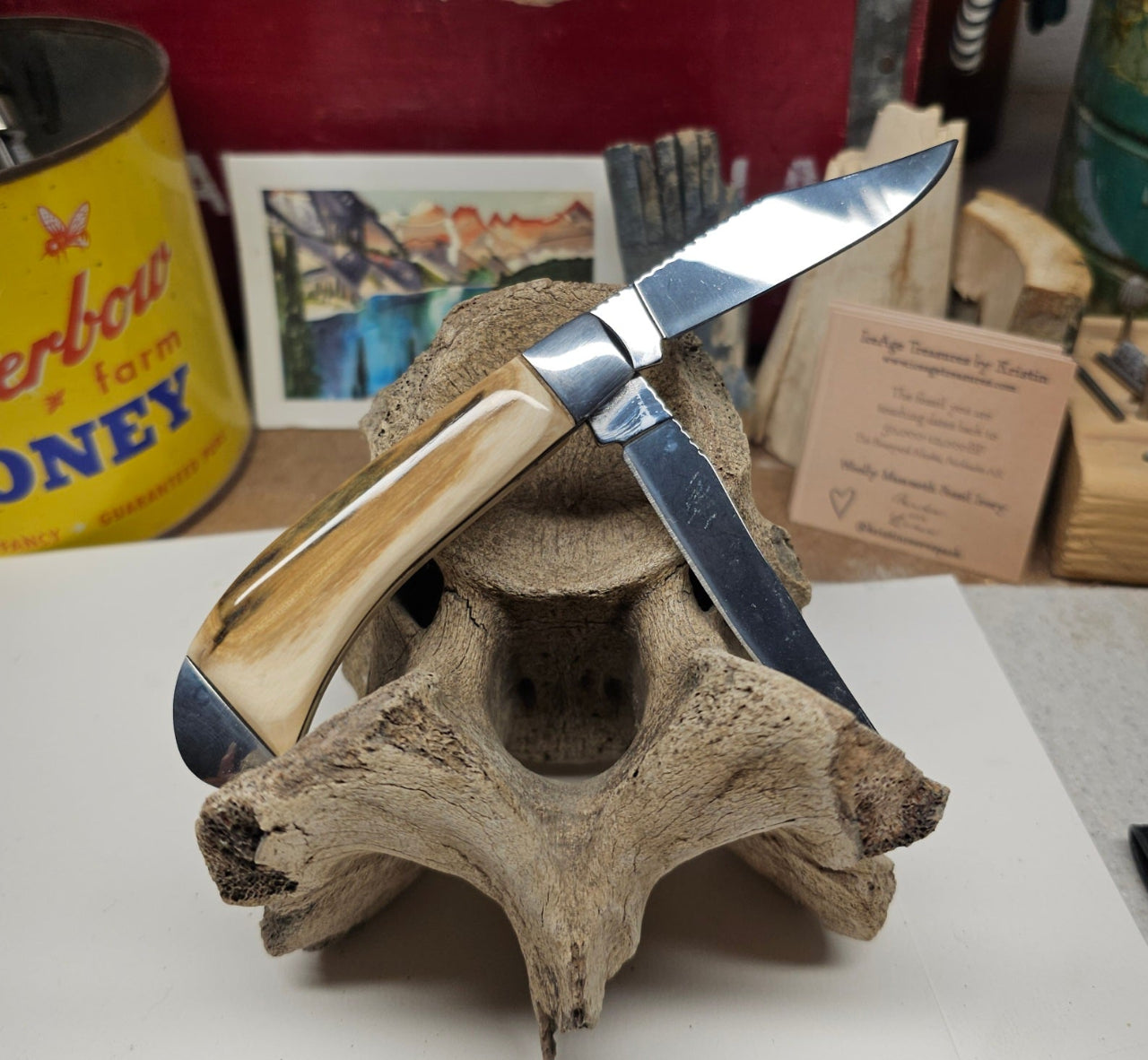 Boneyard Alaska Woolly Mammoth Ivory Grip TRAPPER Pocket Knife-Folder