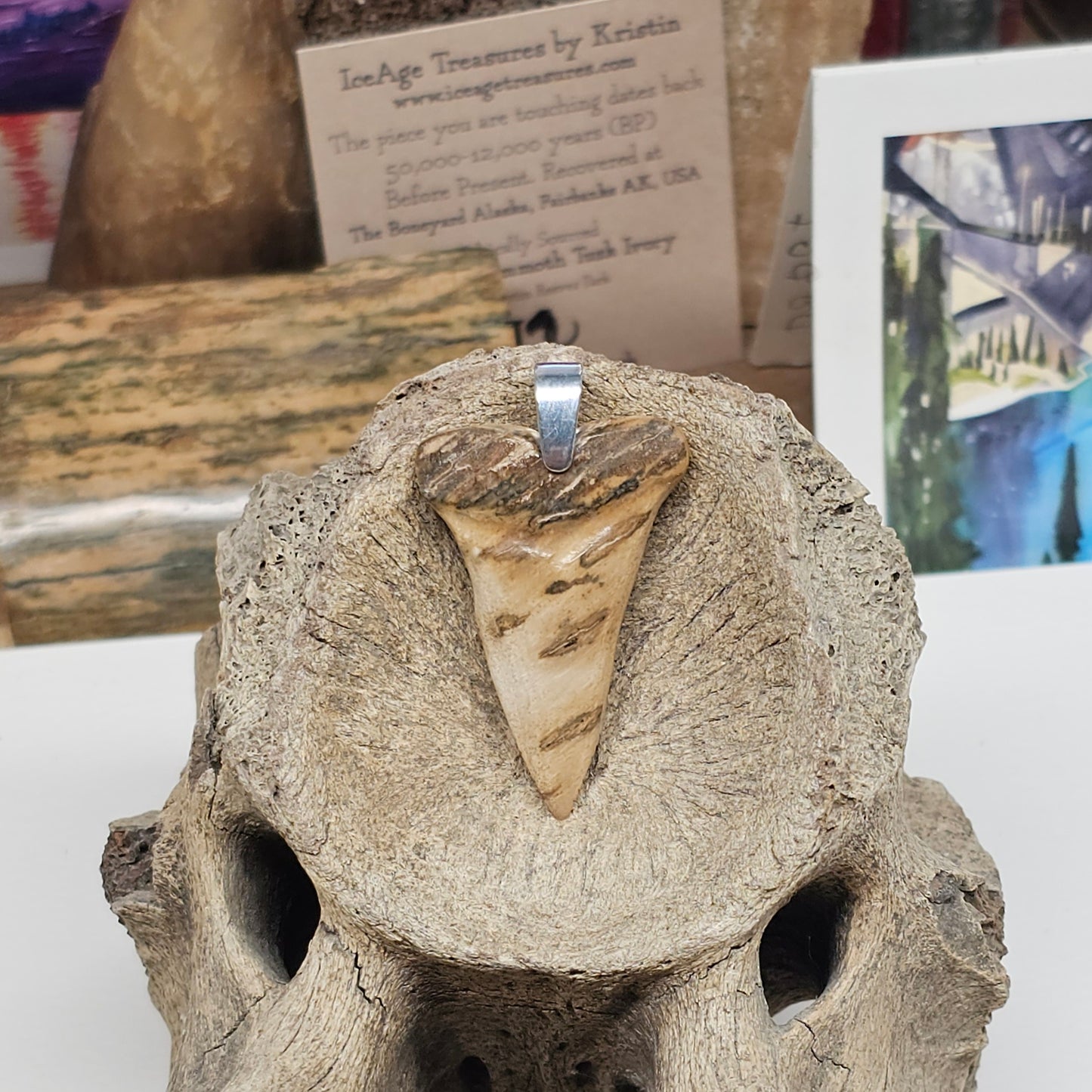 Woolly Mammoth Ivory Shark Tooth Pendant
