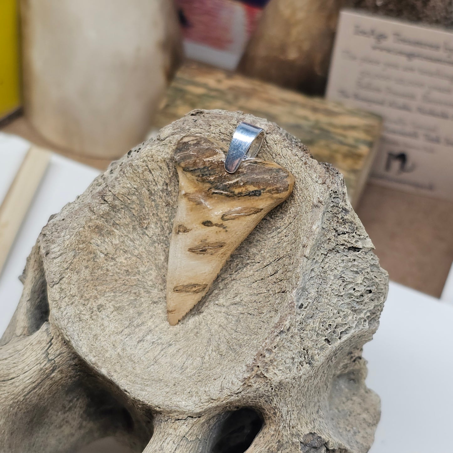 Woolly Mammoth Ivory Shark Tooth Pendant