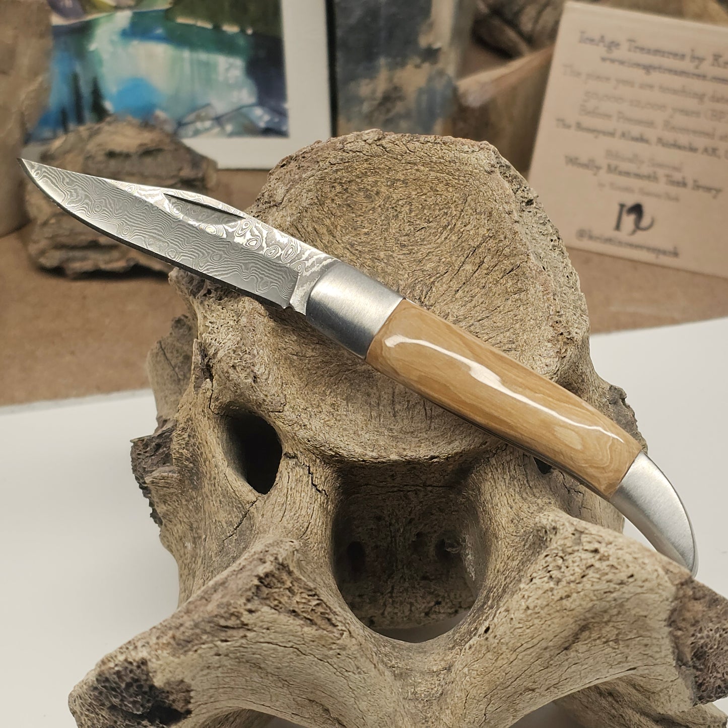 Woolly Mammoth Fossil Ivory Grip Texas Toothpick Pocket Knife