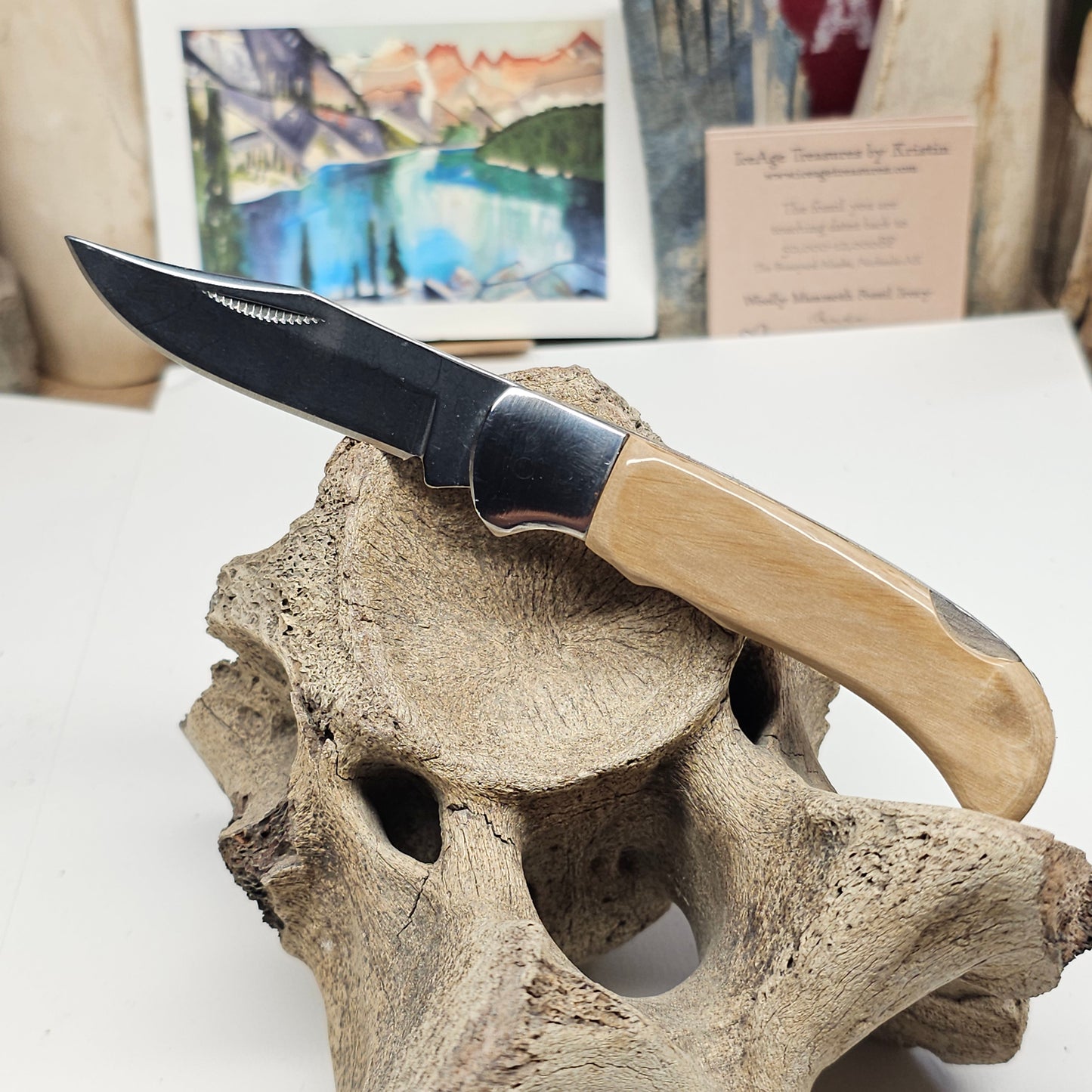 Boneyard Alaska Woolly Mammoth Ivory Grip Collectible Pocket Knife-Lock Blade