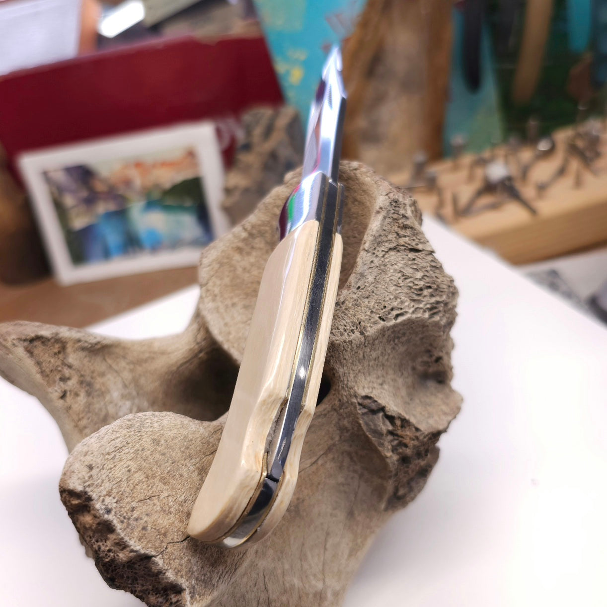 Boneyard Alaska Woolly Mammoth Ivory Grip Pocket Knife-Lock Blade