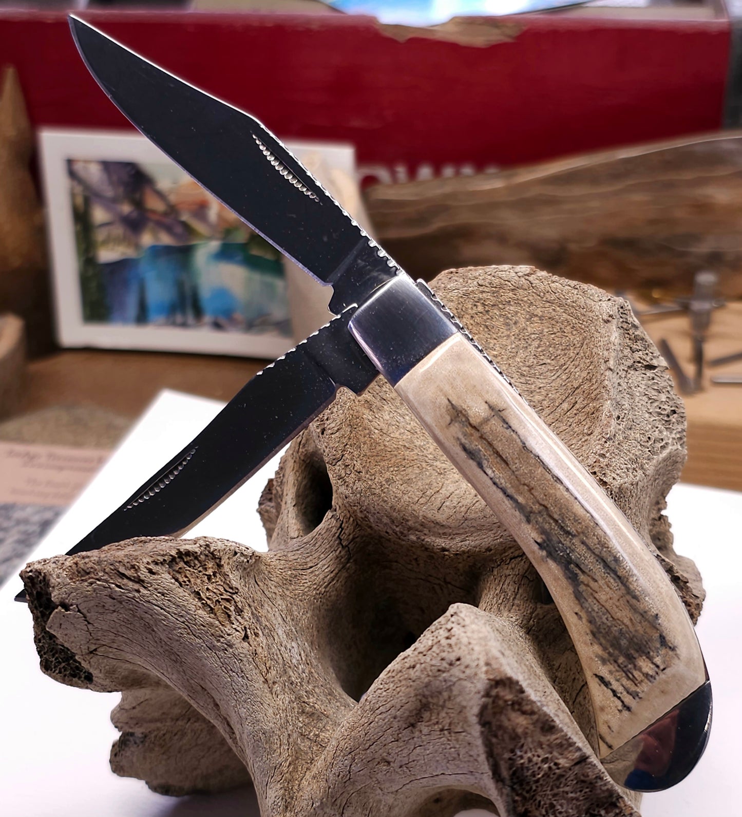 Boneyard AlaskaWoolly Mammoth Ivory Grip TRAPPER Dual Blade Pocket Knife