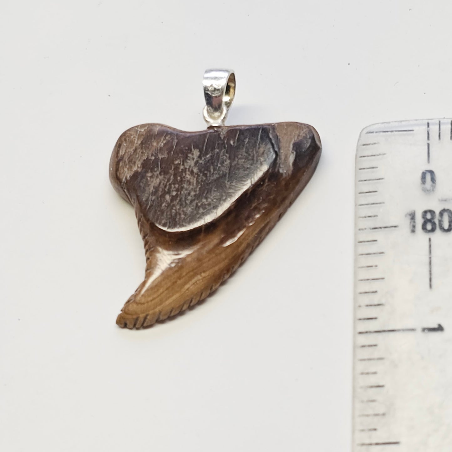 Boneyard Alaska Woolly Mammoth Ivory Shark Tooth Pendant