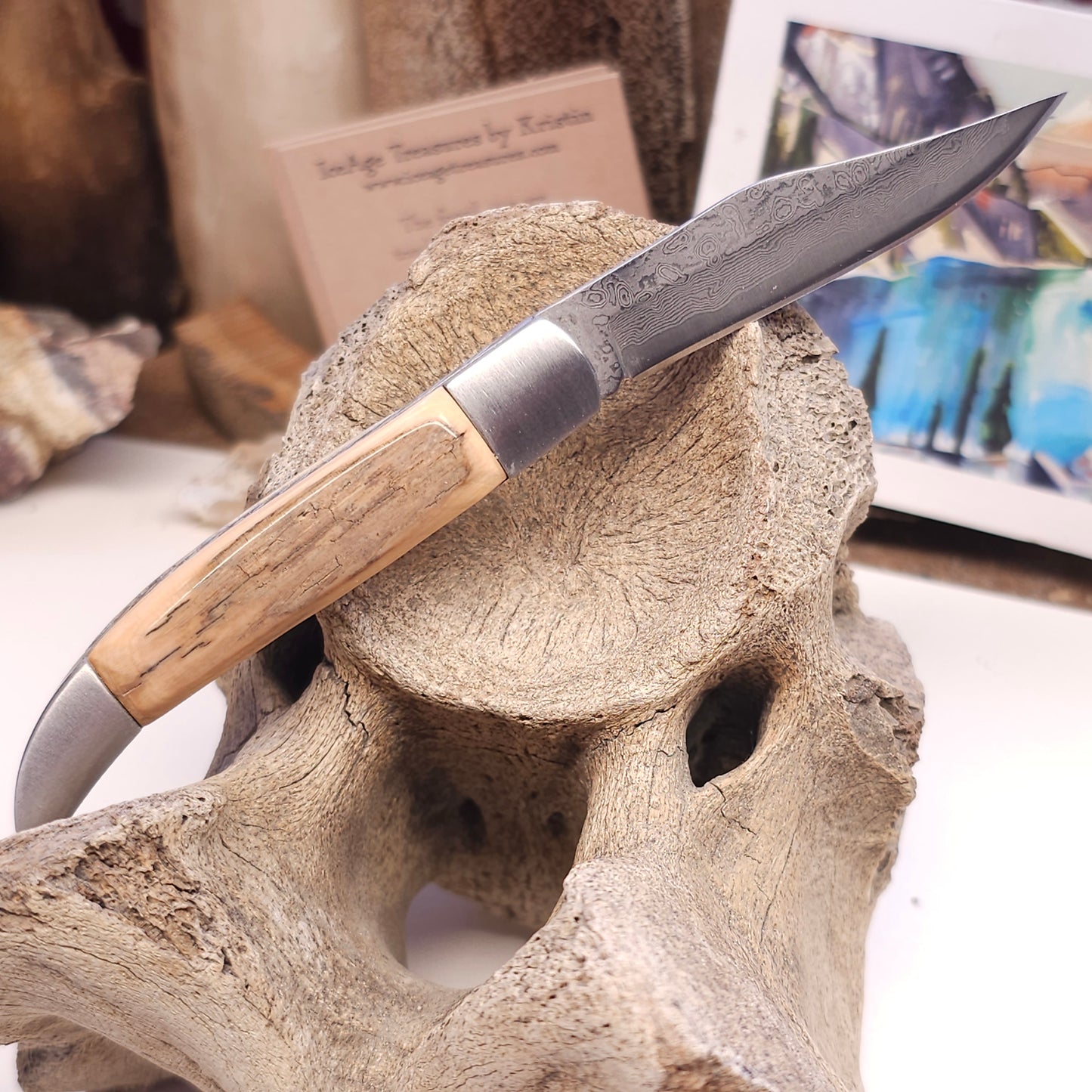 Boneyard Alaska Woolly Mammoth Ivory - Texas Toothpick with Damascus