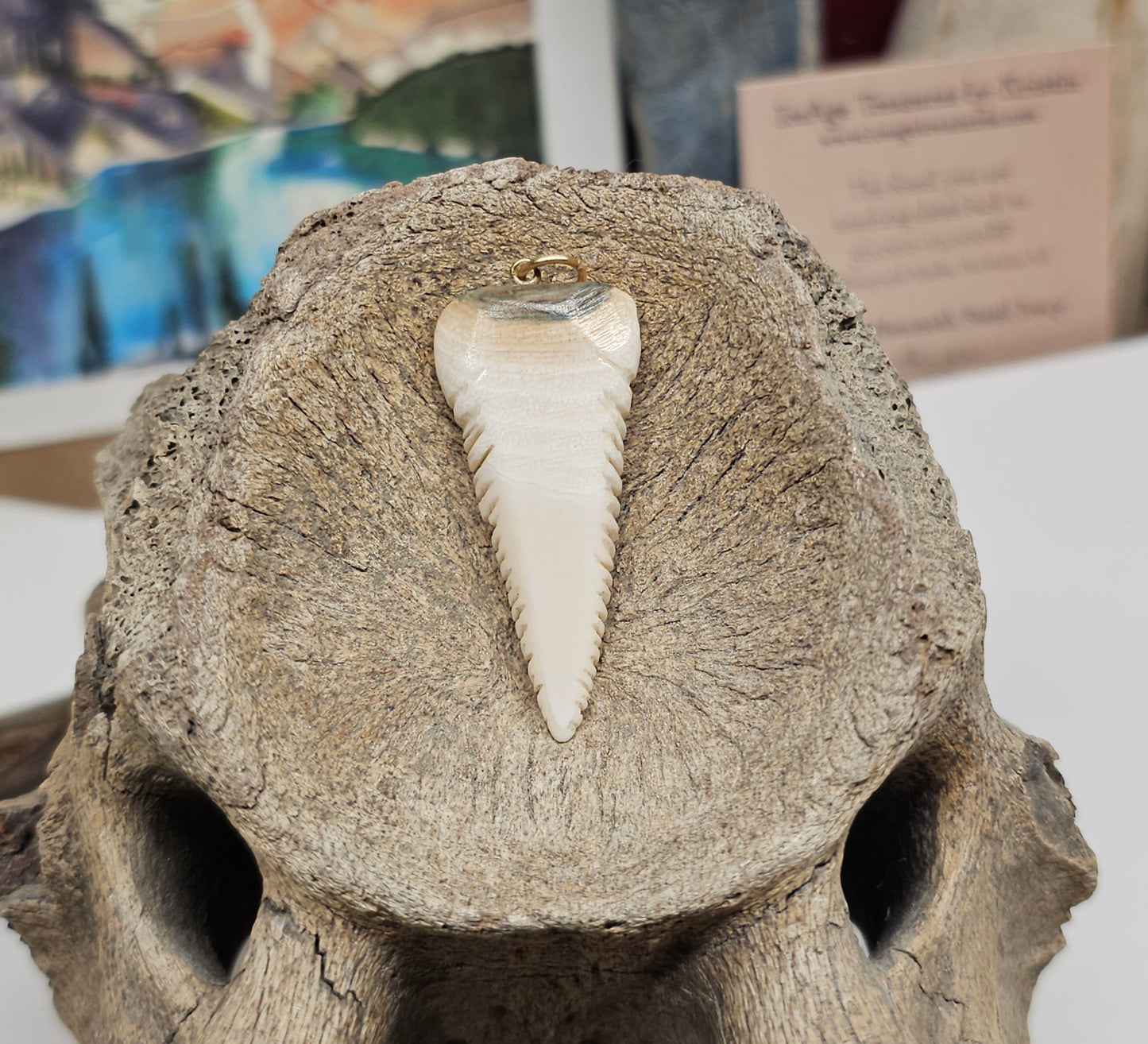 Boneyard Mammoth Ivory Shark Tooth Pendant