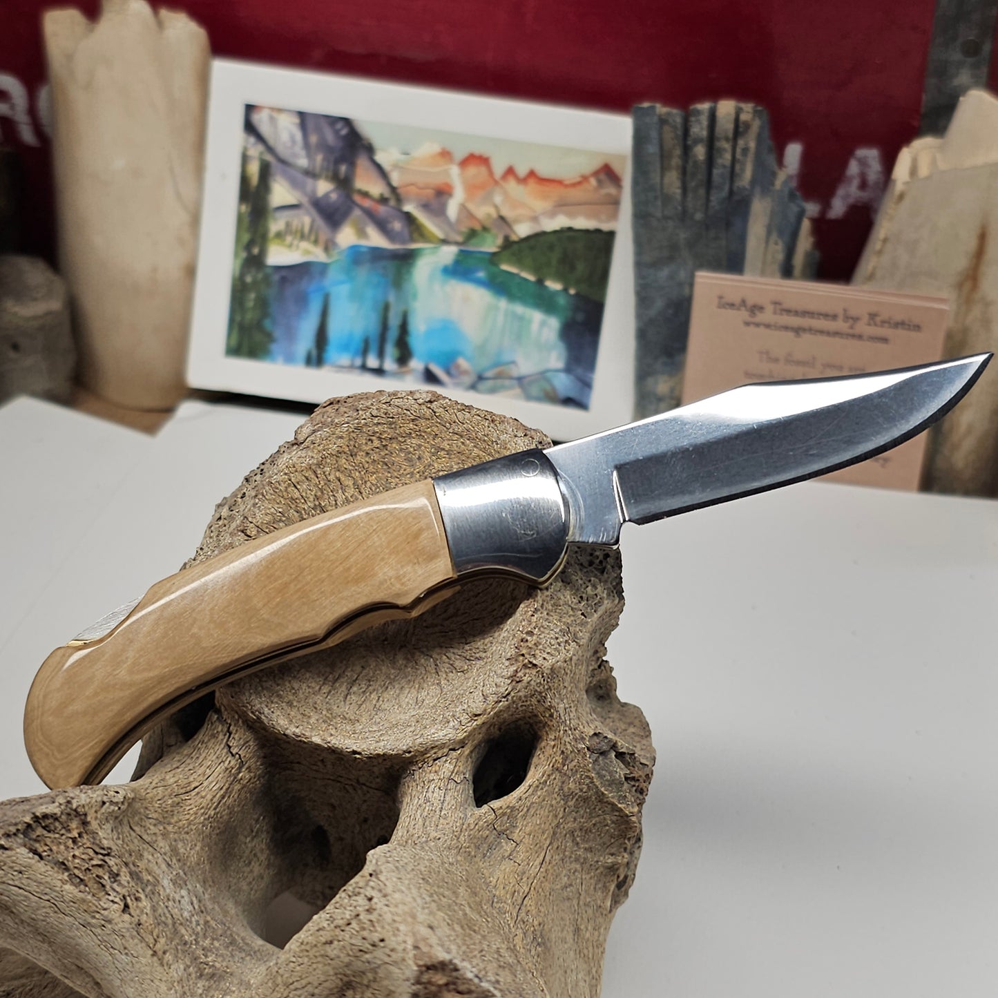 Boneyard Alaska Woolly Mammoth Ivory Grip Collectible Pocket Knife-Lock Blade