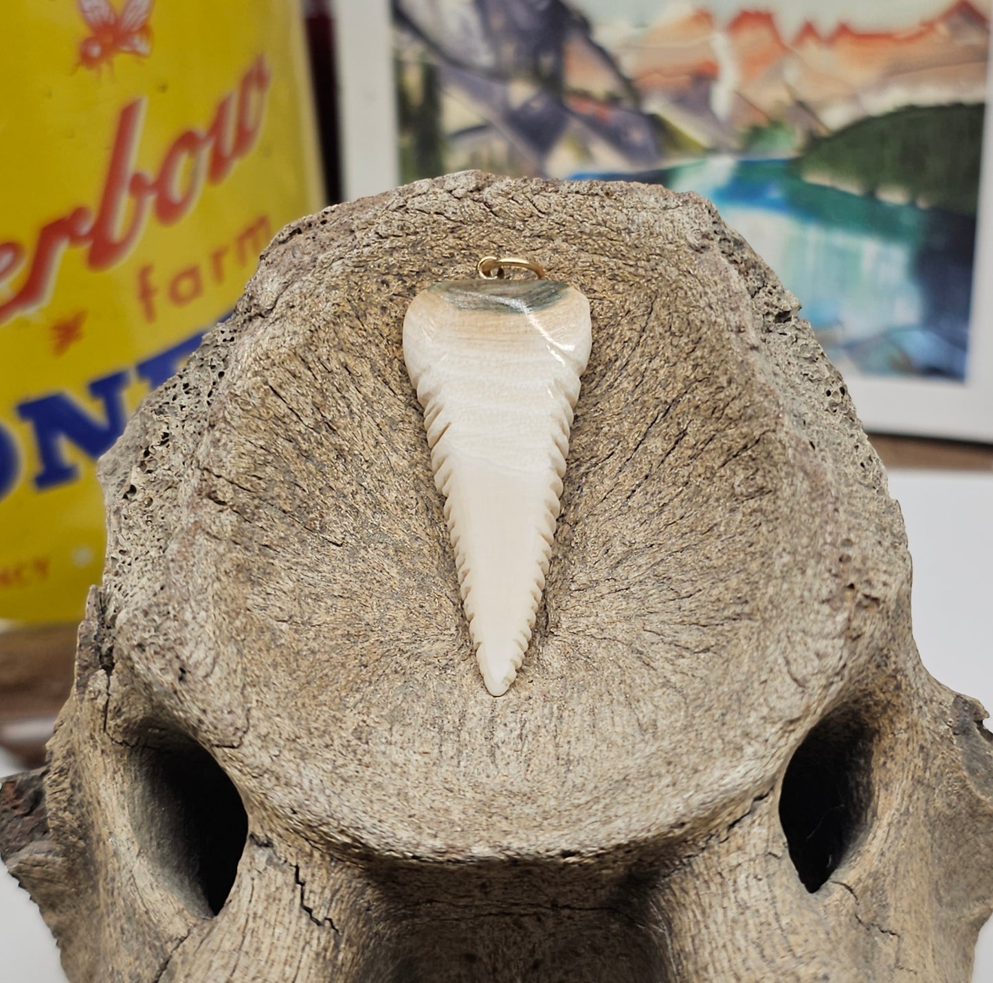 Boneyard Mammoth Ivory Shark Tooth Pendant