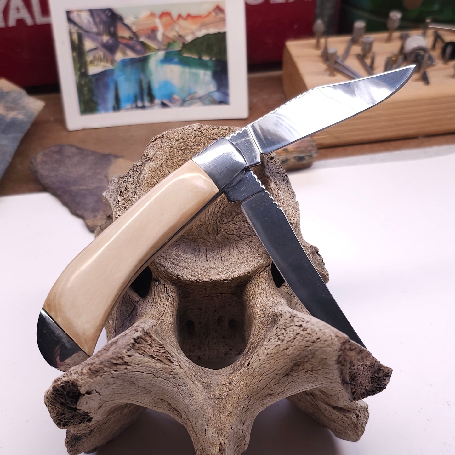 Boneyard Alaska Woolly Mammoth Ivory Grip TRAPPER Pocket Knife