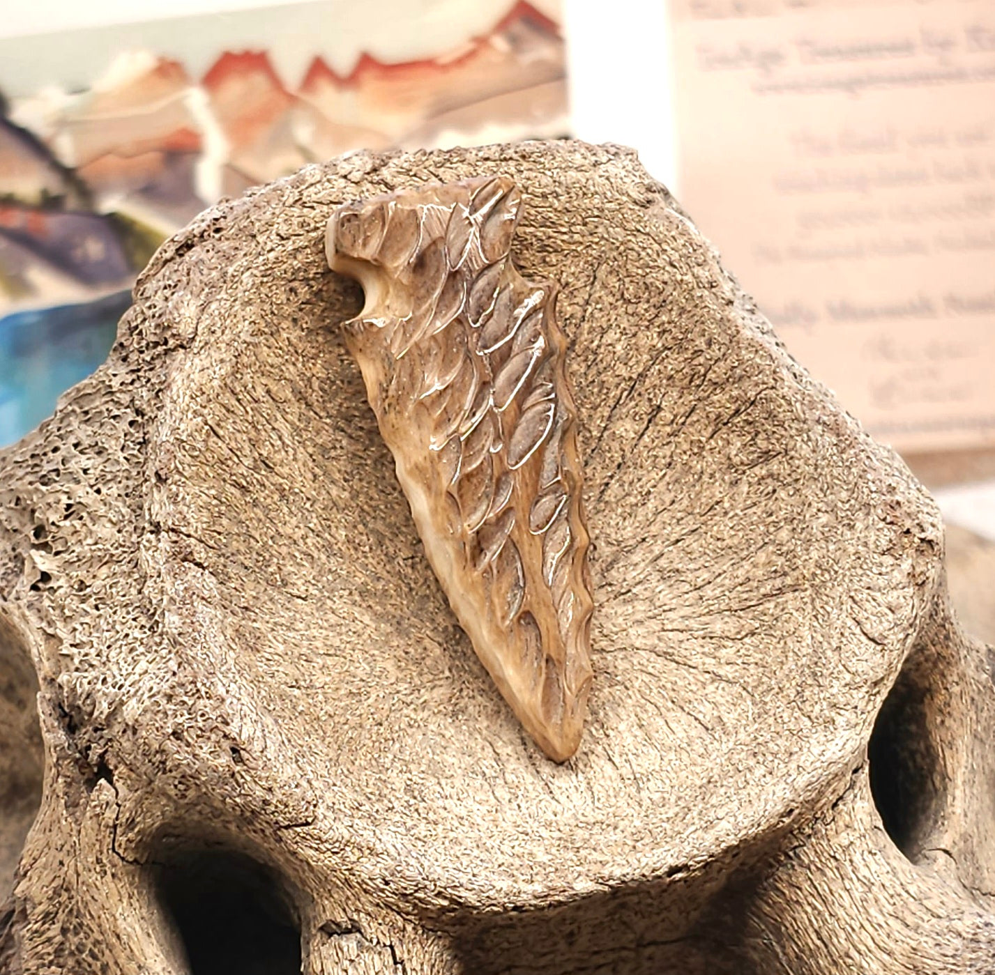 Boneyard Alaska Woolly Mammoth Ivory Arrowhead