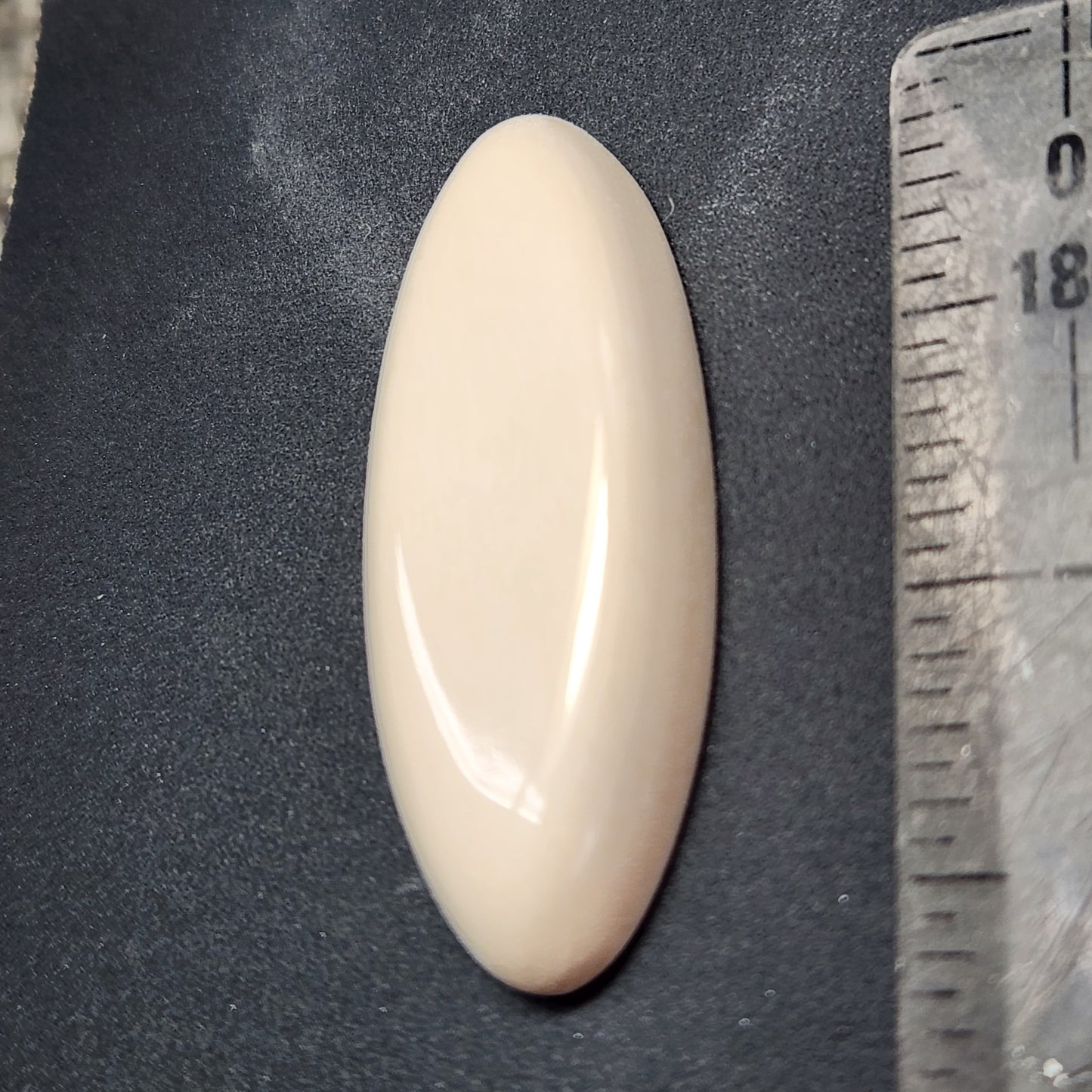 Woolly Mammoth Fossil Ivory Cabachon