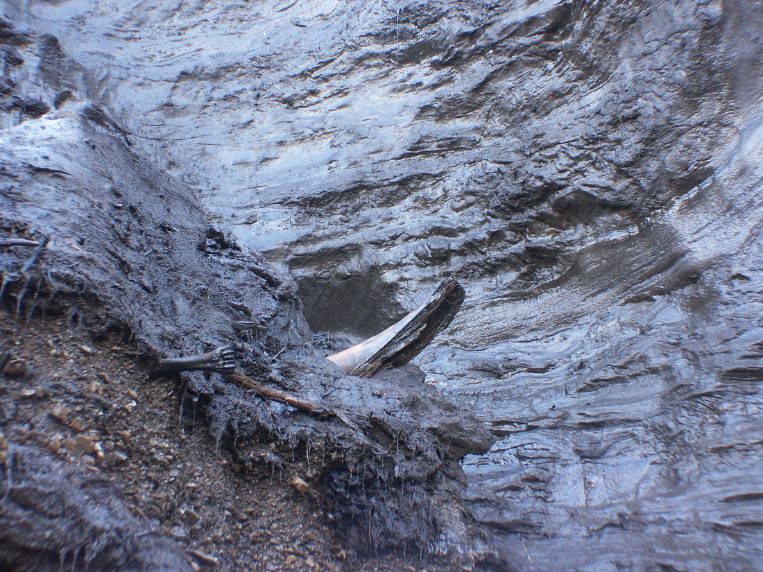 Is Mammoth Ivory Ethical? Everything You Need to Know