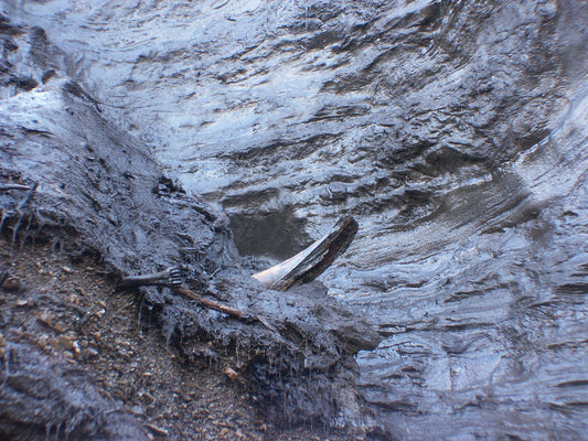 Is Mammoth Ivory Ethical? Everything You Need to Know