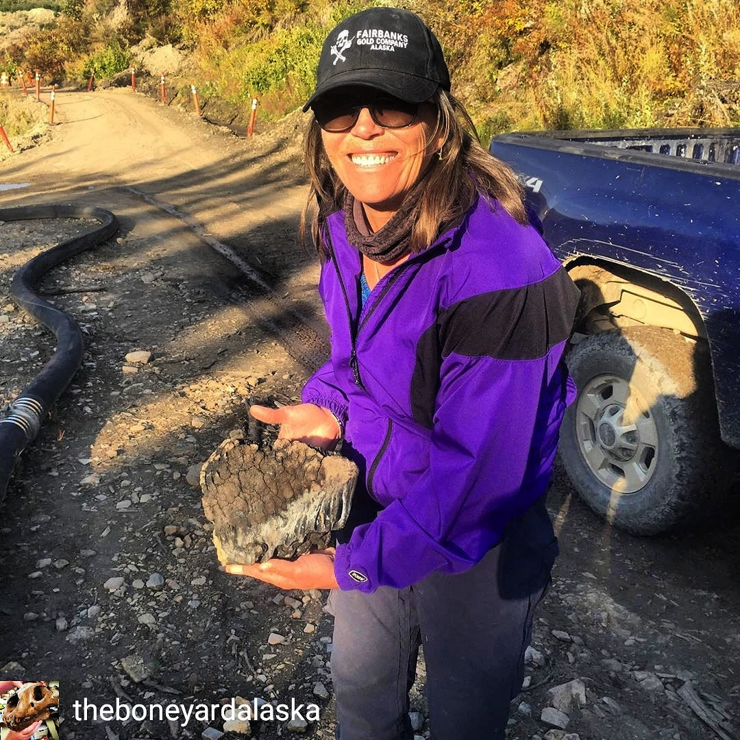 Finding a Woolly Mammoth Tooth at the Boneyard Alaska