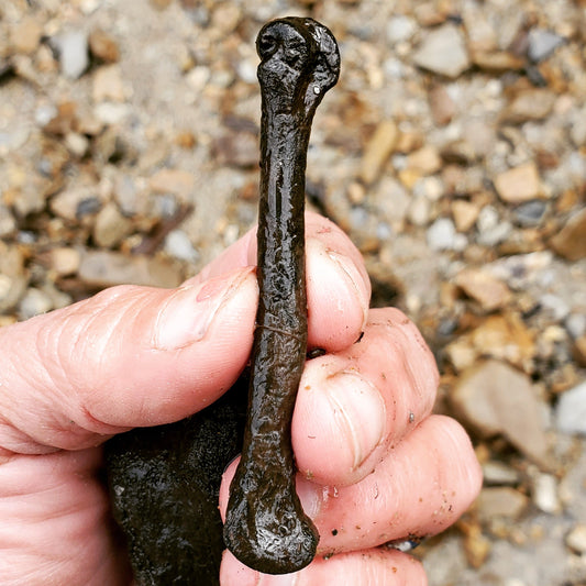 Where the Materials Come From