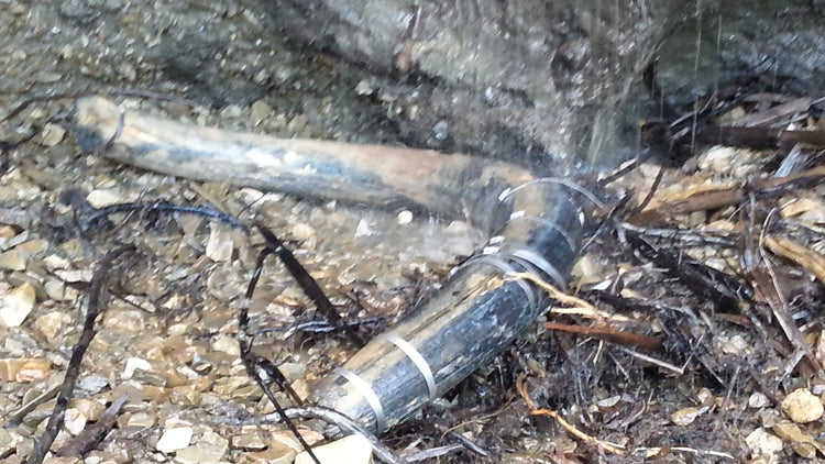 Nice full Woolly Mammoth Tusk at the Boneyard Alaska, still frozen to the wall.