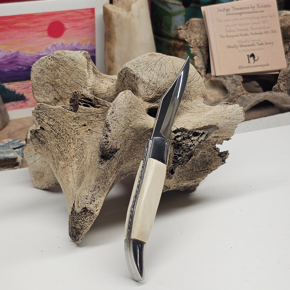Woolly Mammoth Fossil Ivory Texas Toothpick Pocket Knife | Ice Age Treasures