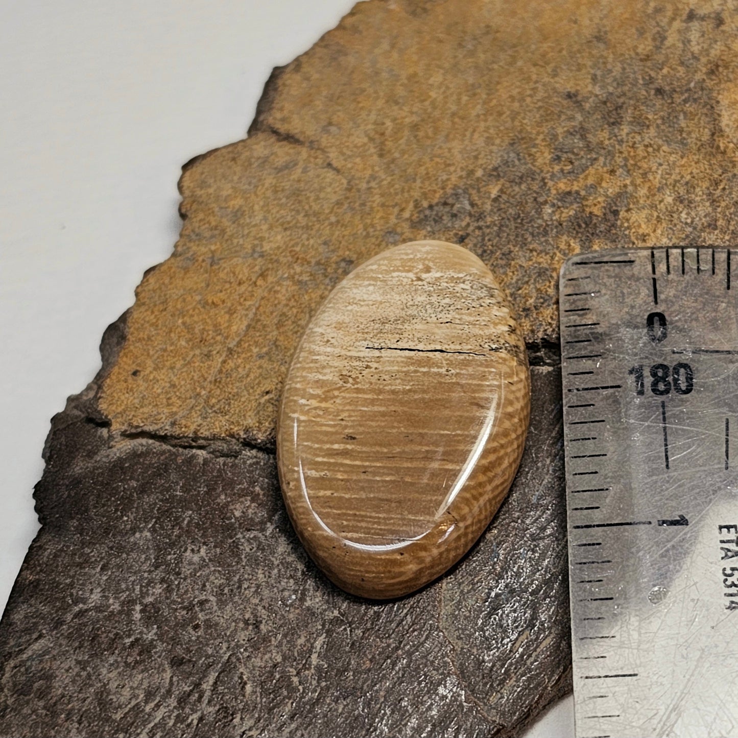 Woolly Mammoth Fossil Ivory Cabochon Oval - 1 1/4"