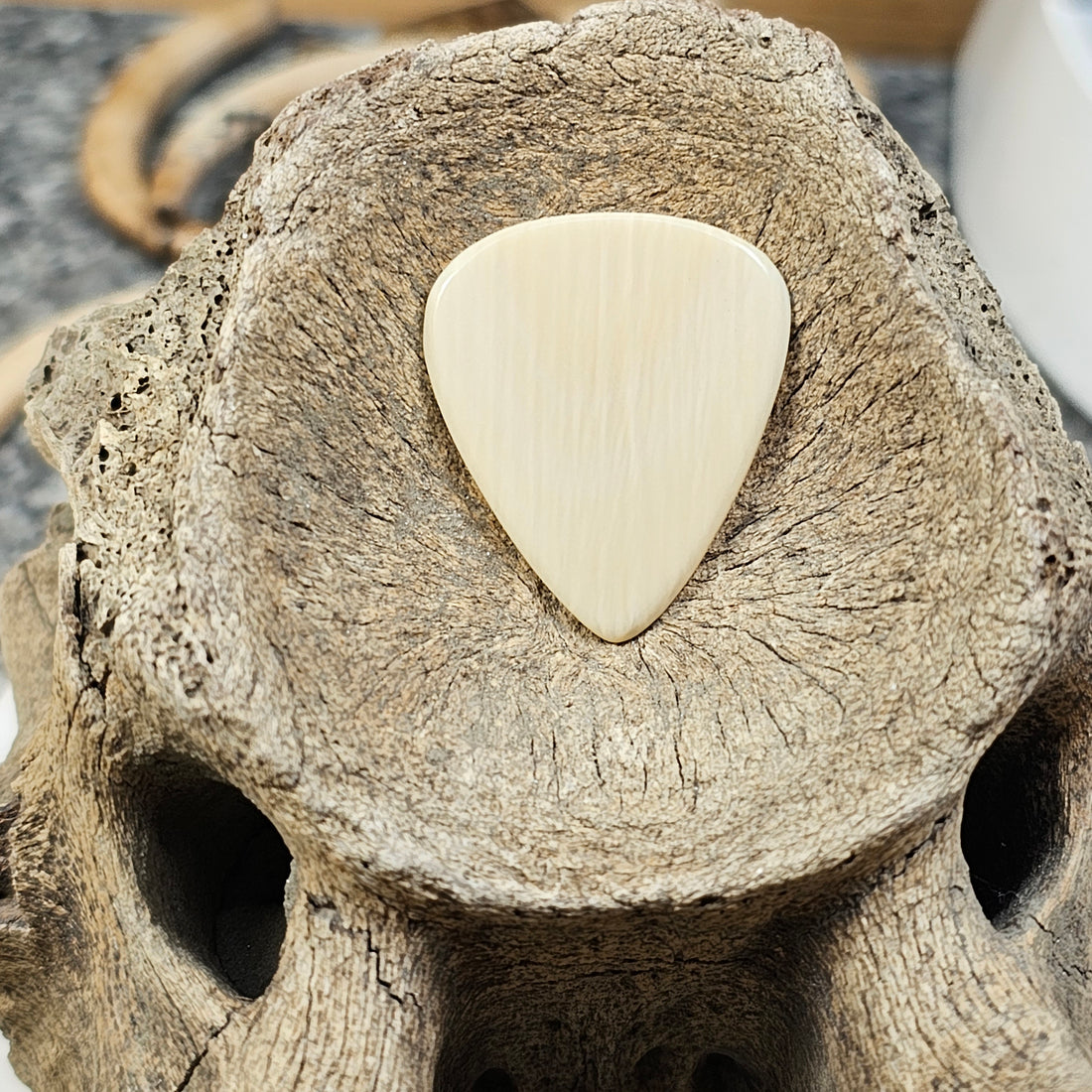 Woolly Mammoth Ivory Guitar Picks IceAge Treasures