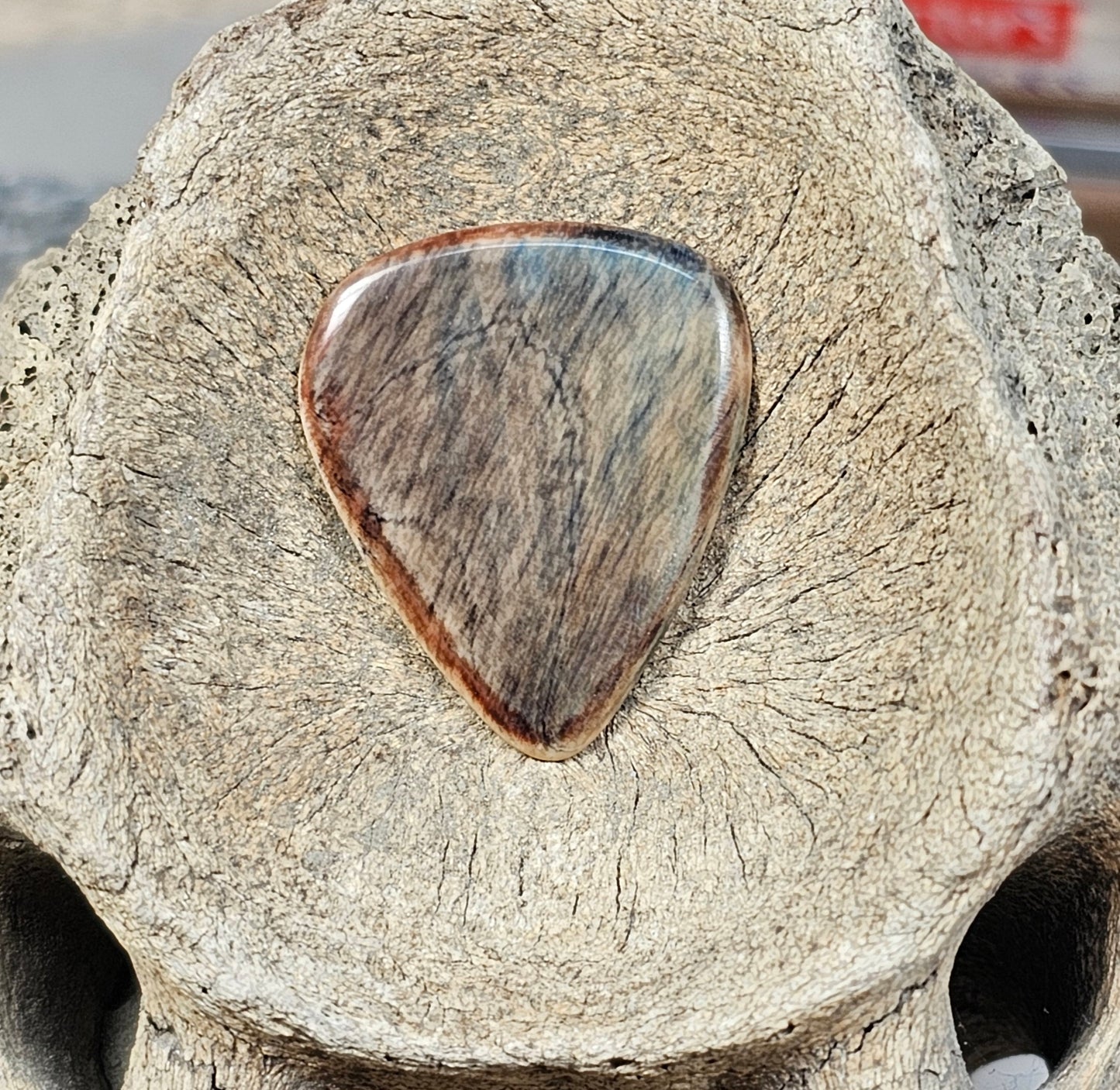Woolly Mammoth Ivory Guitar Pick