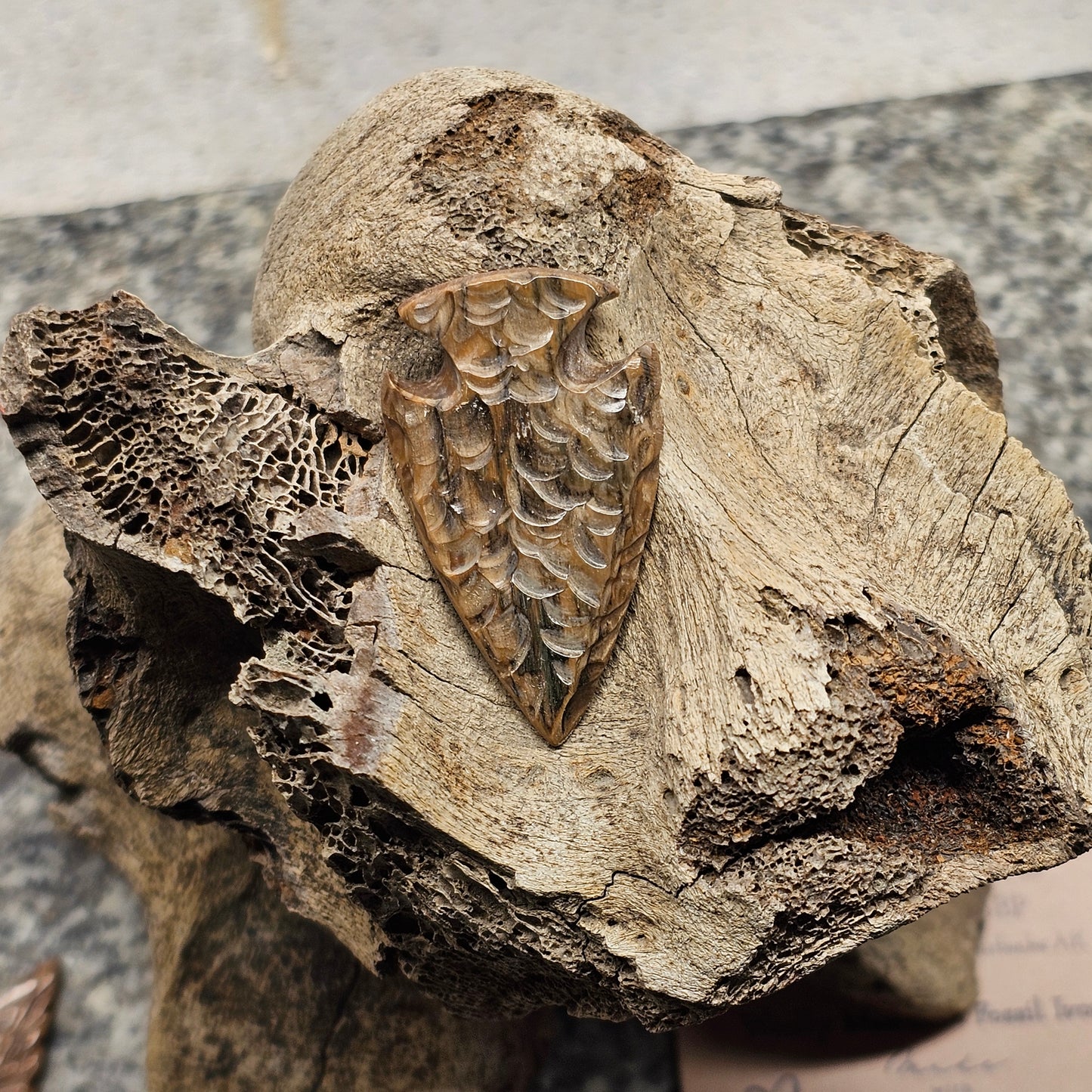 Boneyard Alaska Woolly Mammoth Ivory Arrowhead