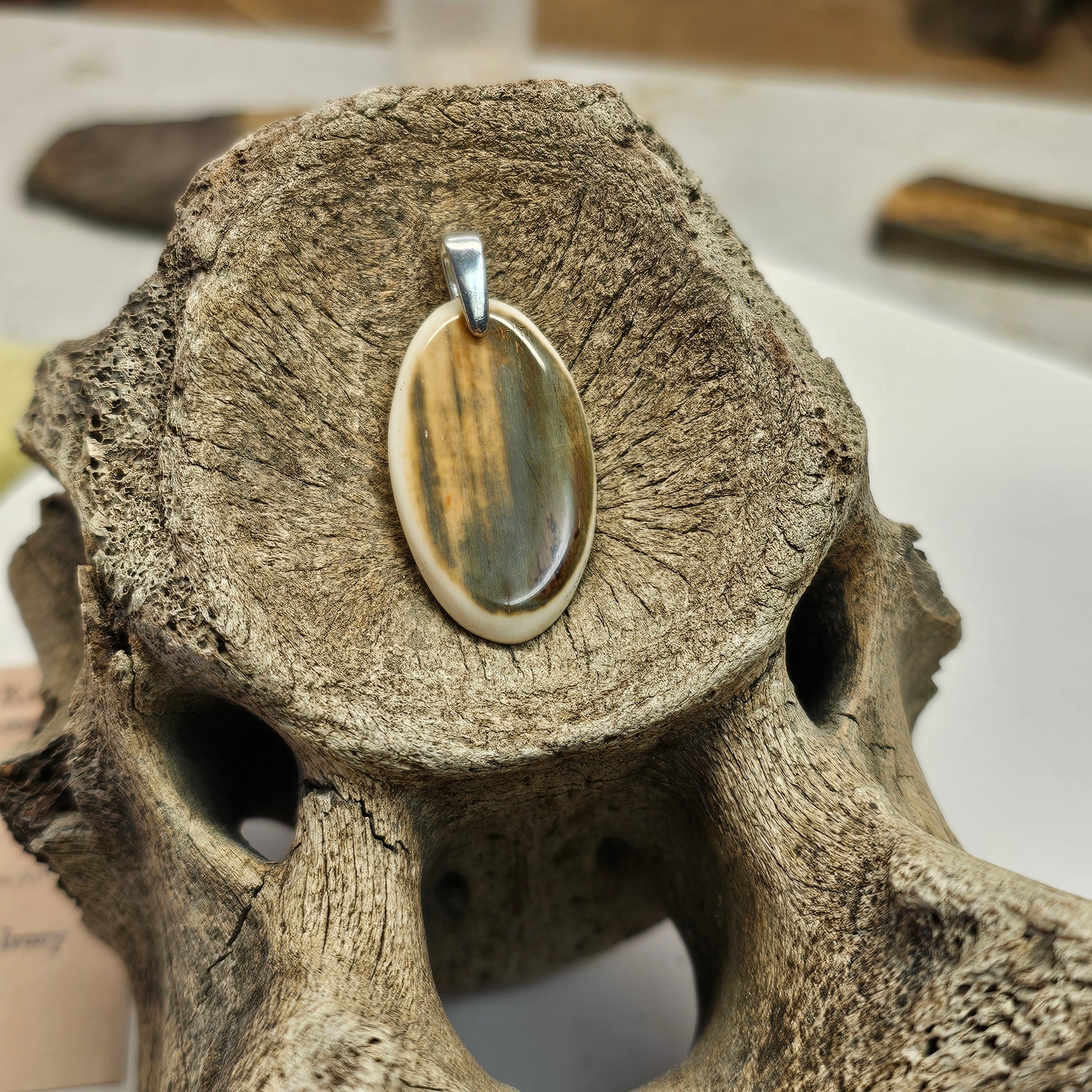 Boneyard Alaska Woolly Mammoth Ivory Cabachon Pendant