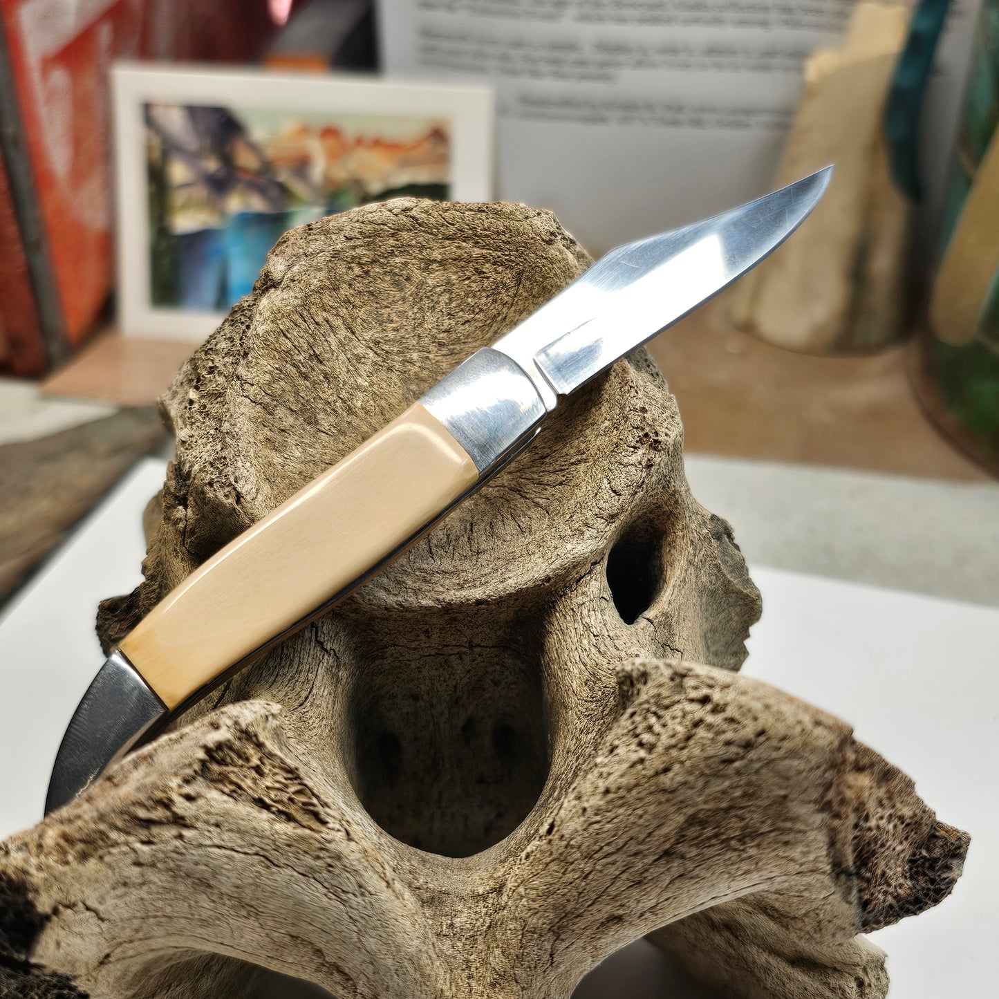 Woolly Mammoth Ivory Grip Texas Toothpick Pocket Knife