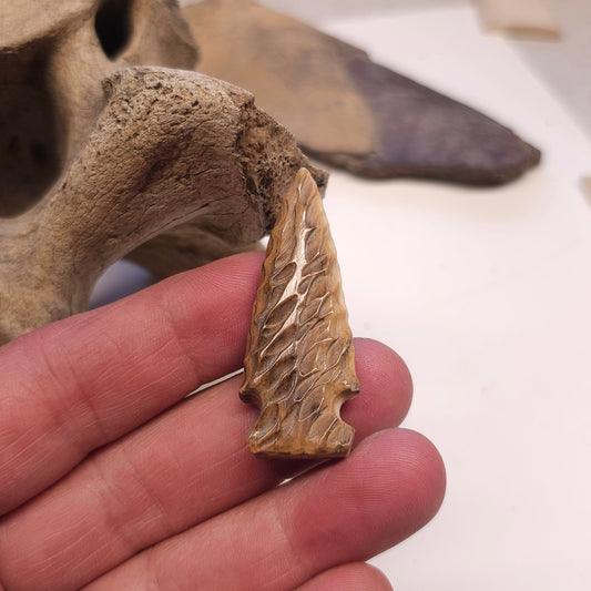 Boneyard Woolly Mammoth Ivory Arrowhead y Kristin Reeves Park IceAge Treasures