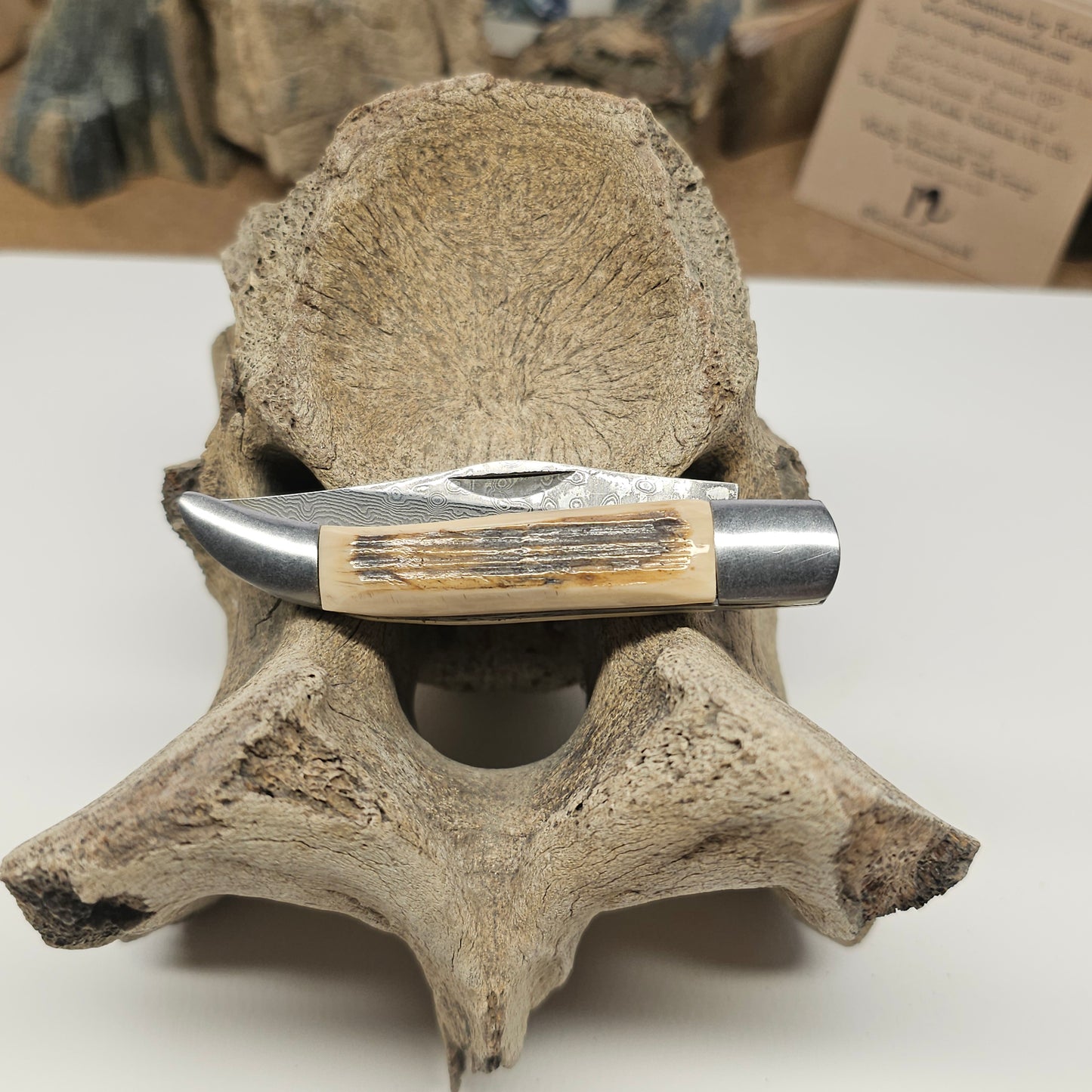 Woolly Mammoth Ivory Grip Texas Toothpick Pocket Knife - Damascus