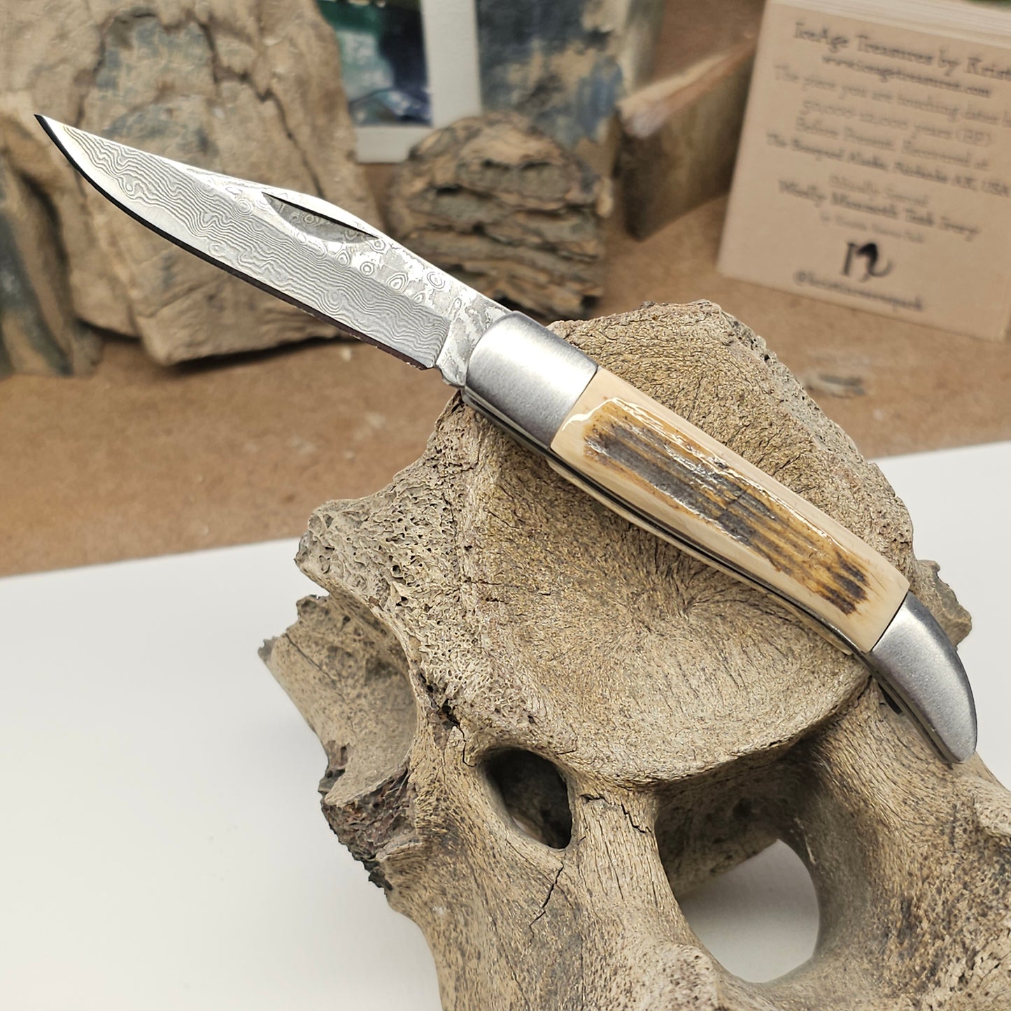 Woolly Mammoth Ivory Grip Texas Toothpick Pocket Knife - Damascus