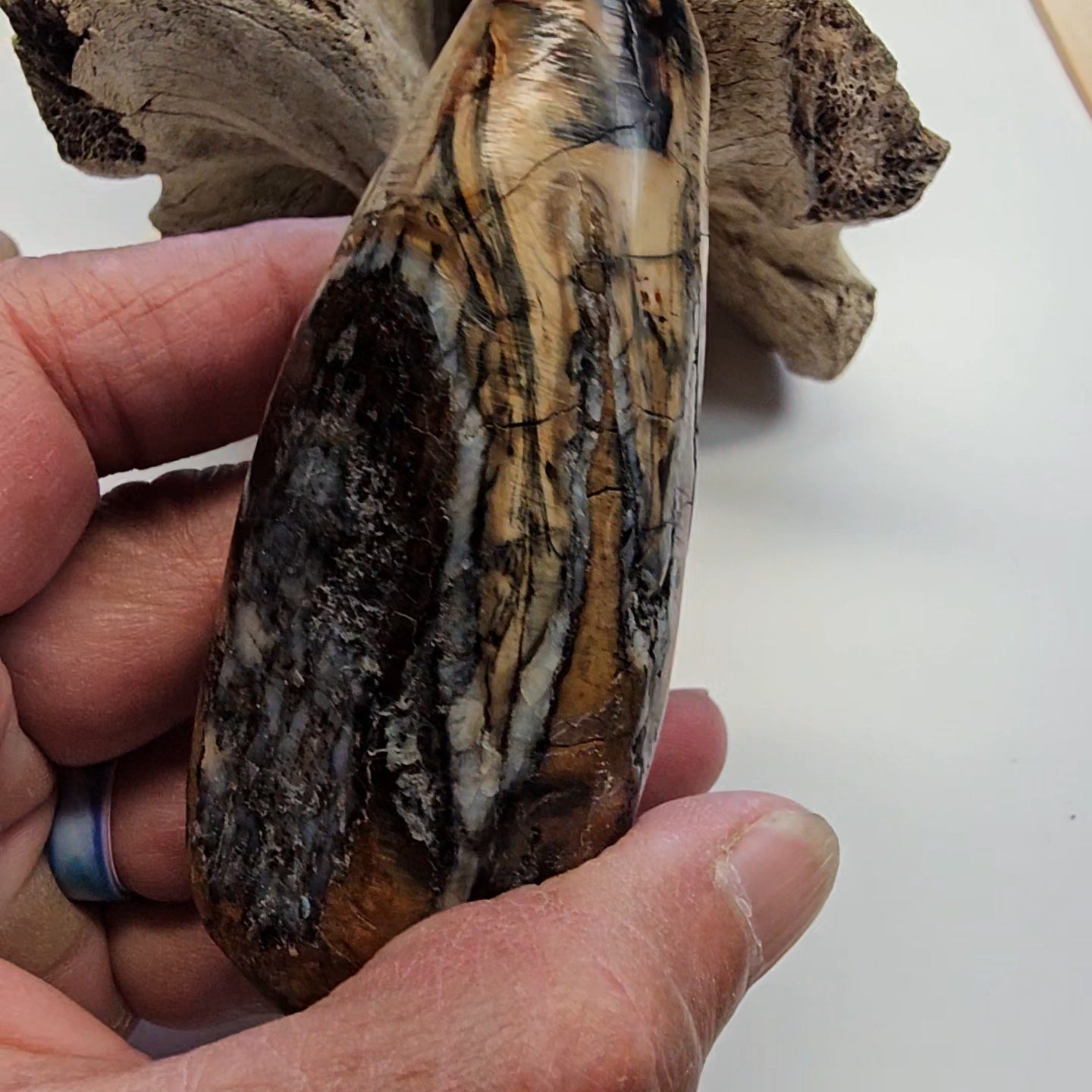 Woolly Mammoth Tooth Bowl with Turquoise and Gold