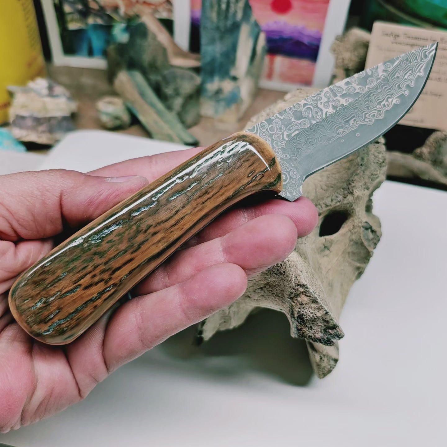 Boneyard Alaska Wooly Mammoth Heavy Vivianite Stained Fossil Ivory Grip  Skinner Knife