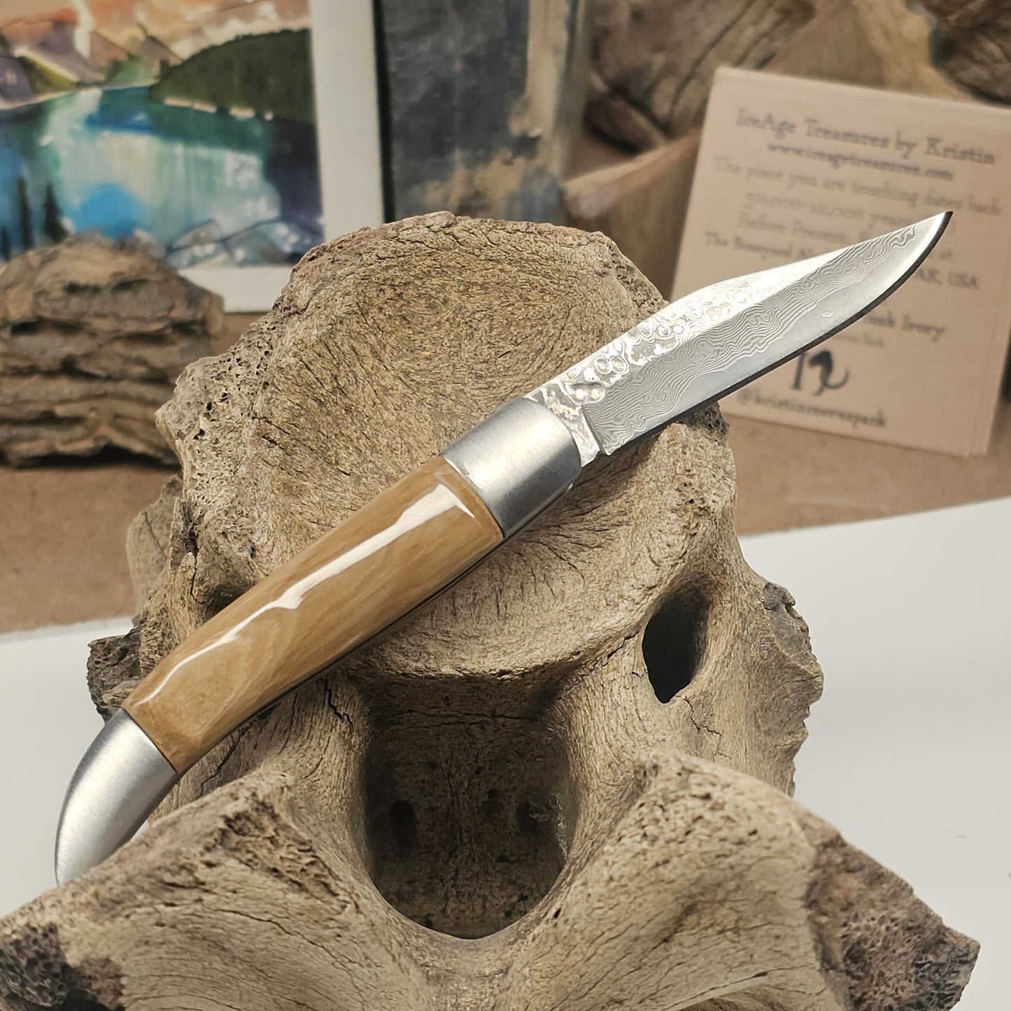 Woolly Mammoth Fossil Ivory Grip Texas Toothpick Pocket Knife
