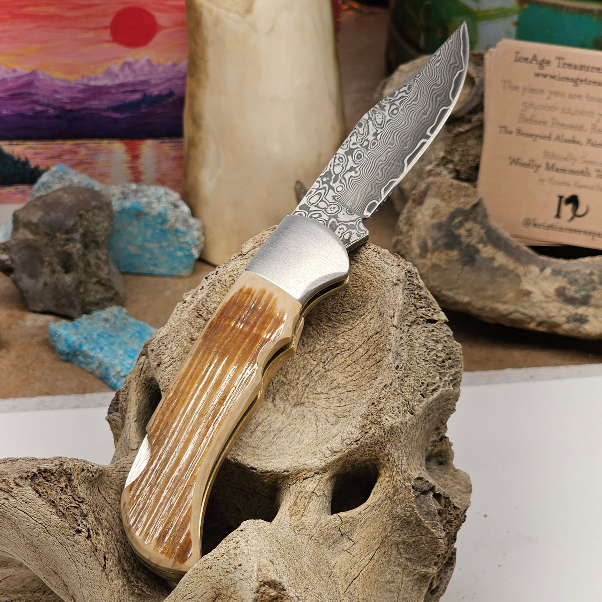 Pocket knife with a patterned Damascus steel blade and a curved Woolly Mammoth fossil ivory handle by Kristin at Iceagetreasures.com