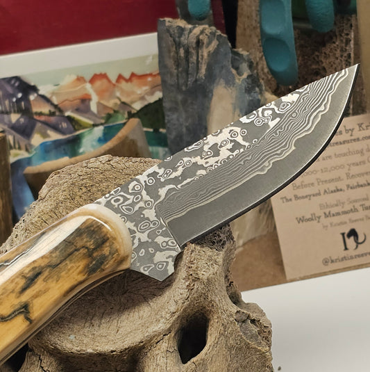 Boneyard Alaska Mammoth Ivory Grip Fixed Blade San Mai Damascus